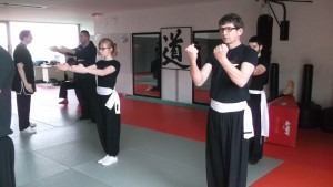 hunggarnancy-artsmartiaux-wushu-kungfu-ericbourbonnais-18janvier2015-8  